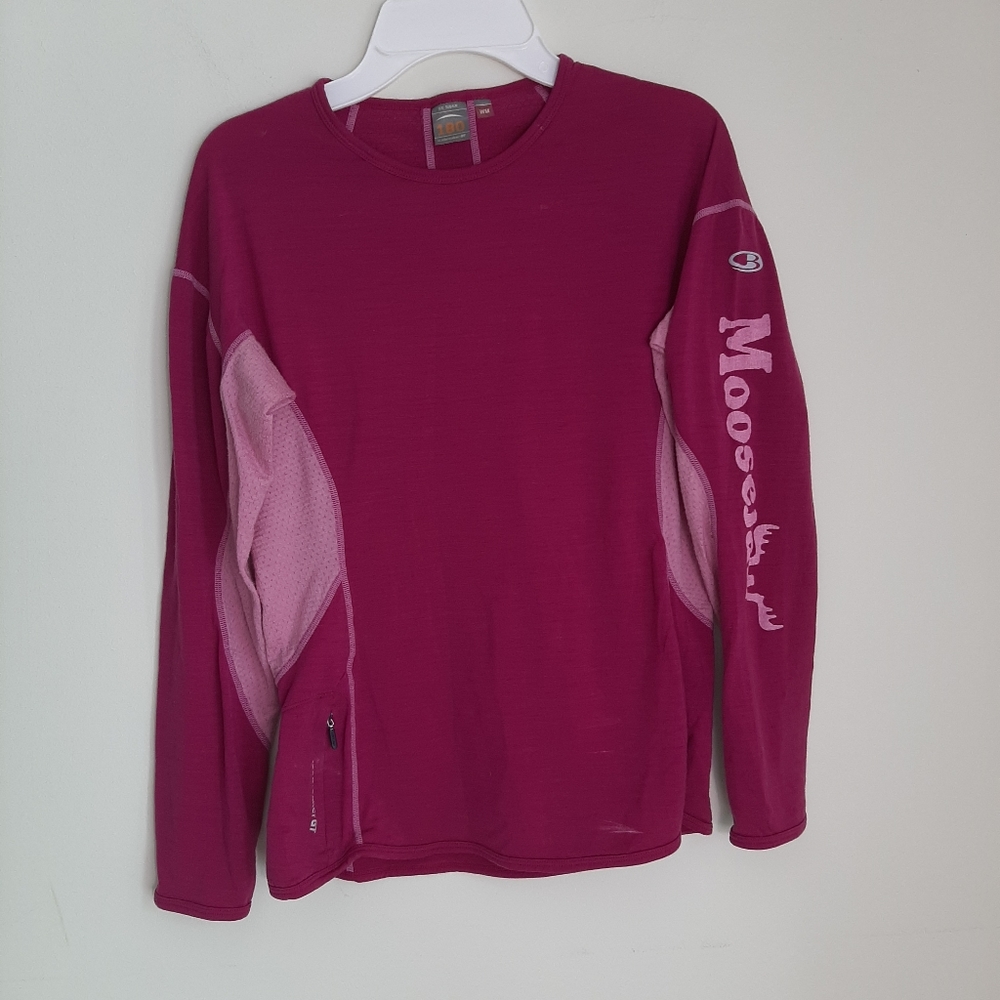 Icebreaker GT merino wool Top.  Bin 2